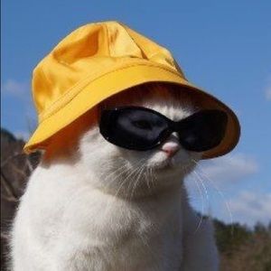 Meet your Posher, Kelly